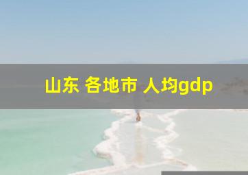 山东 各地市 人均gdp